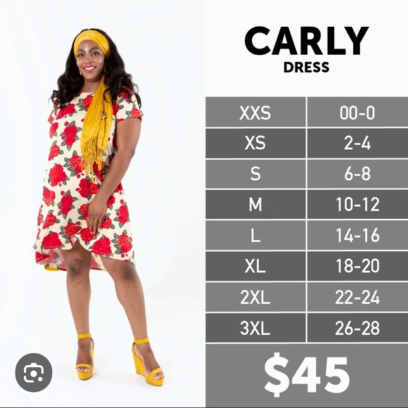 Lularoe Carly hi-low dress. Size XL. NWT - Picture 5 of 5